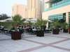 Hilton Dubai Jumeirah 
